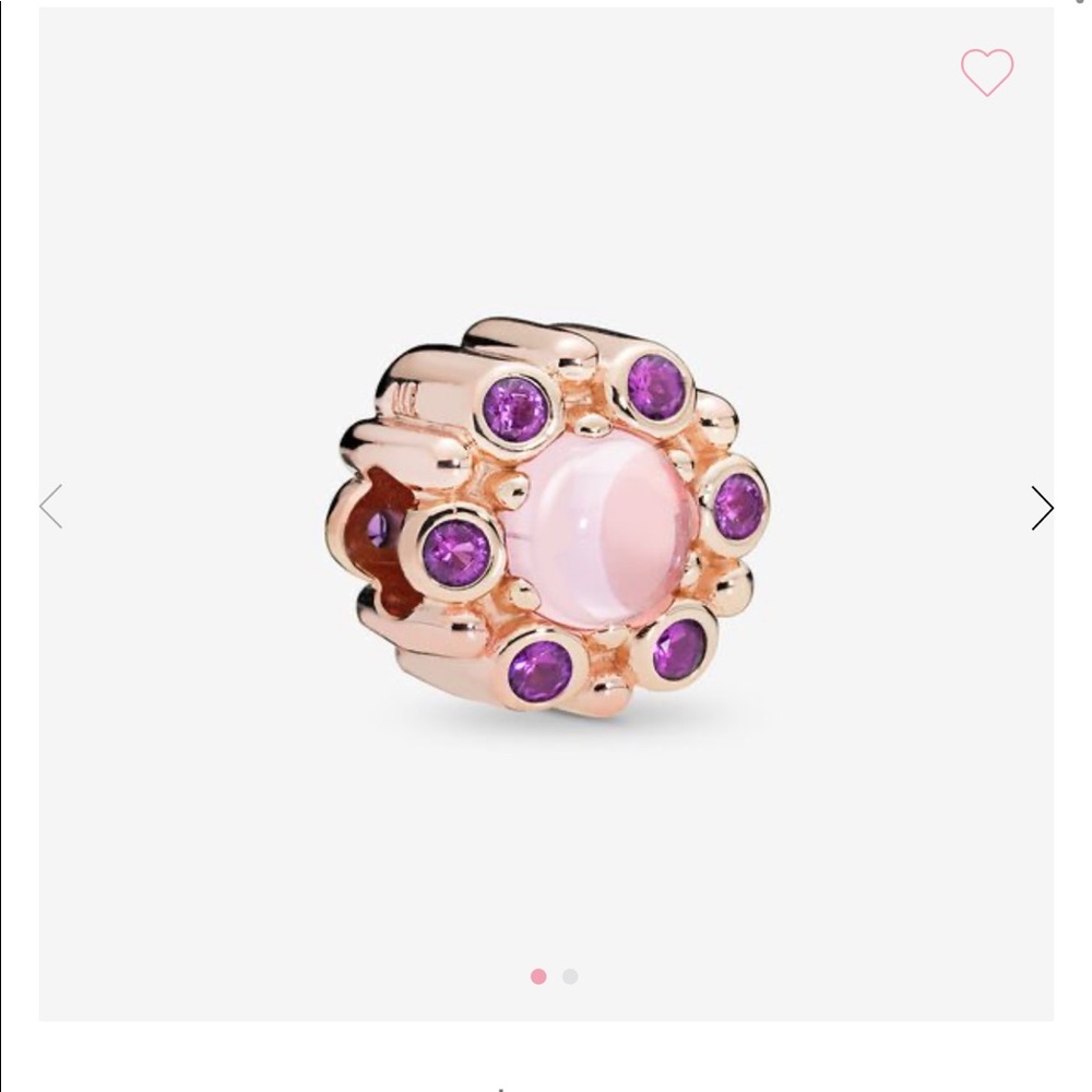 Pandora charm